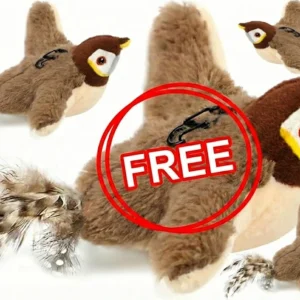 QIAWI™ Interactive Chirping Bird Cat Toy (Realistic Flapping & Sound)