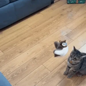 QIAWI™ Interactive Chirping Bird Cat Toy (Realistic Flapping & Sound)